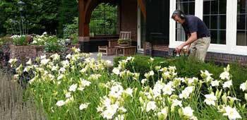 Hovenier Rosmalen tuinonderhoud