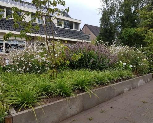 Plantenborders in voortuin