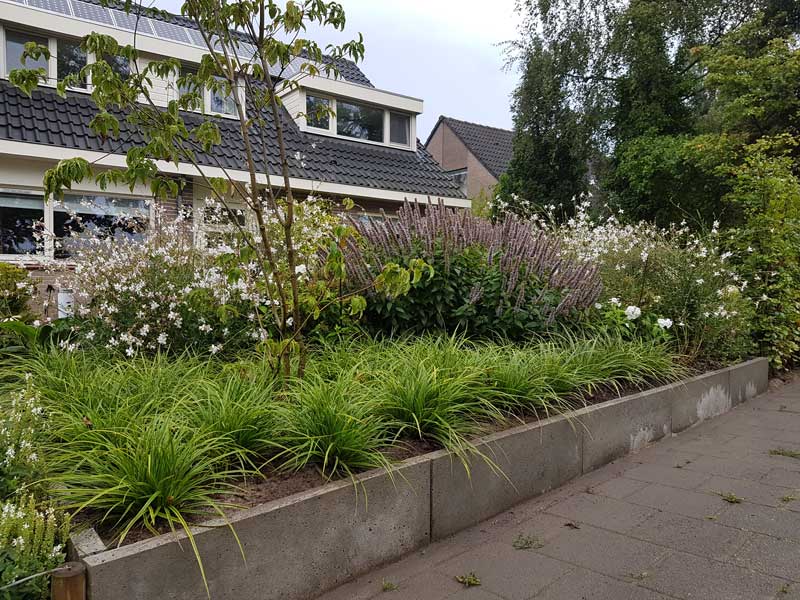 Beplanting van tuin