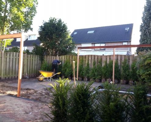 Beplanting in Den Bosch