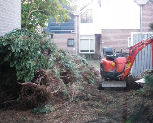 Bomen verwijderen - tuinaanleg Rosmalen