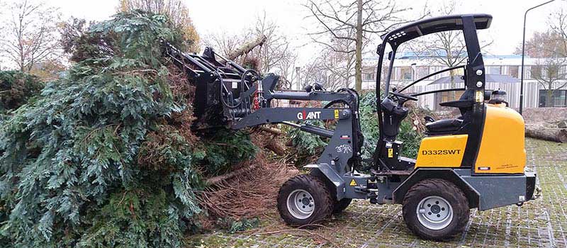 boom-verwijderen