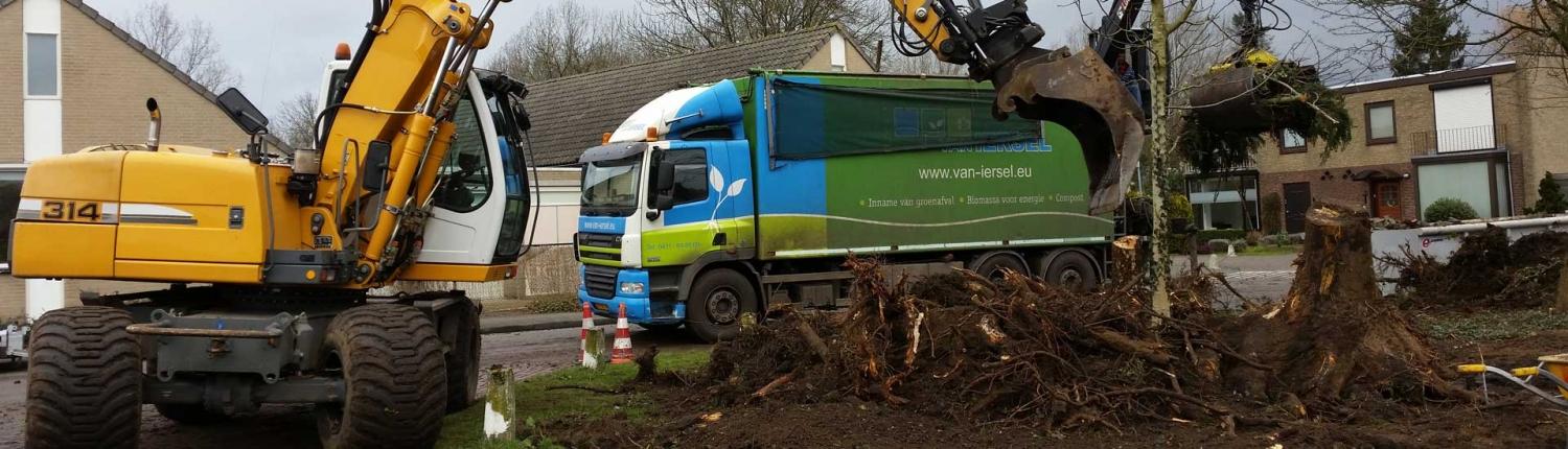 Boomverzorging en snoeiwerk