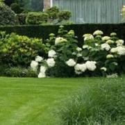 Waterafvoer voor een gezonde, groeiende tuin