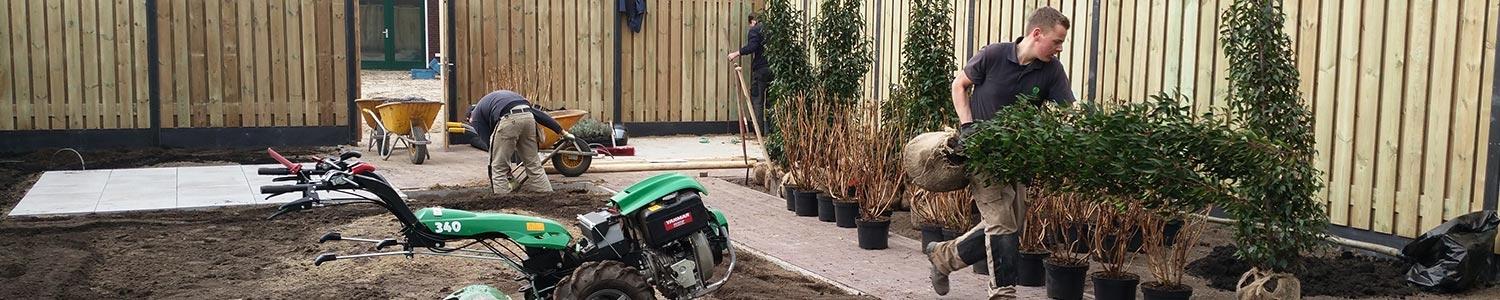 Planten en verplanten in januari