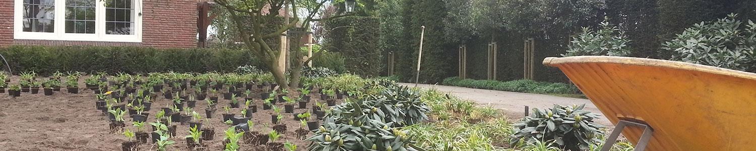 Planten en verplanten in november