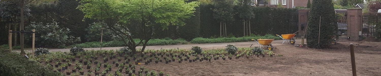 Planten en zaaien in februari