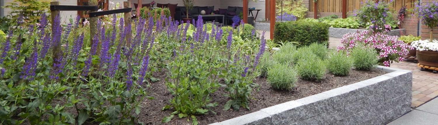 Plantenborder en bloempotten