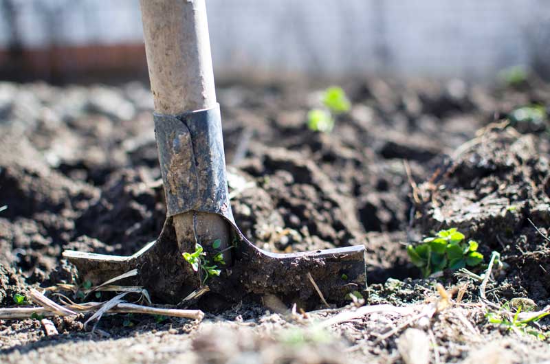 Tuinonderhoud in het najaar