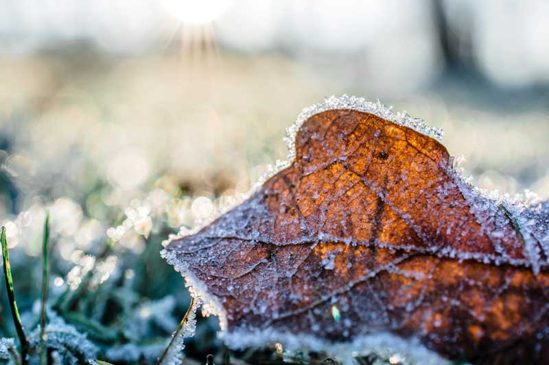 Tuinonderhoud voorjaar