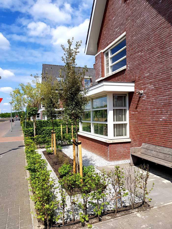 Renovatie voortuin Rosmalen