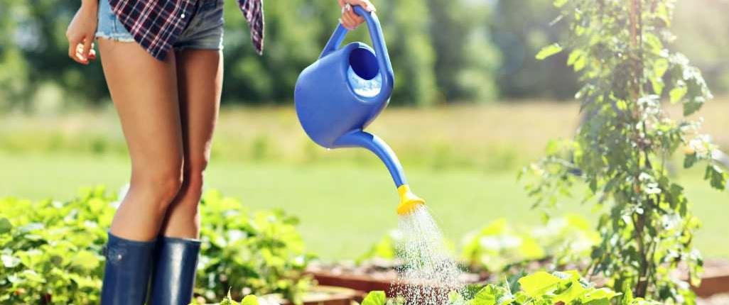 goei en eet groentes uit je eigen moestuin