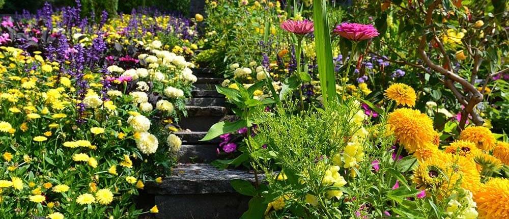 Bersselaar Groen tovert jouw tuin voor je om in een Bohemian Stijl tuin die je een permanent vakantiegevoel bezorgt! Dé tuintrend van 2023!