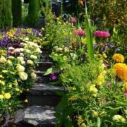 Bersselaar Groen tovert jouw tuin voor je om in een Bohemian Stijl tuin die je een permanent vakantiegevoel bezorgt! Dé tuintrend van 2023!