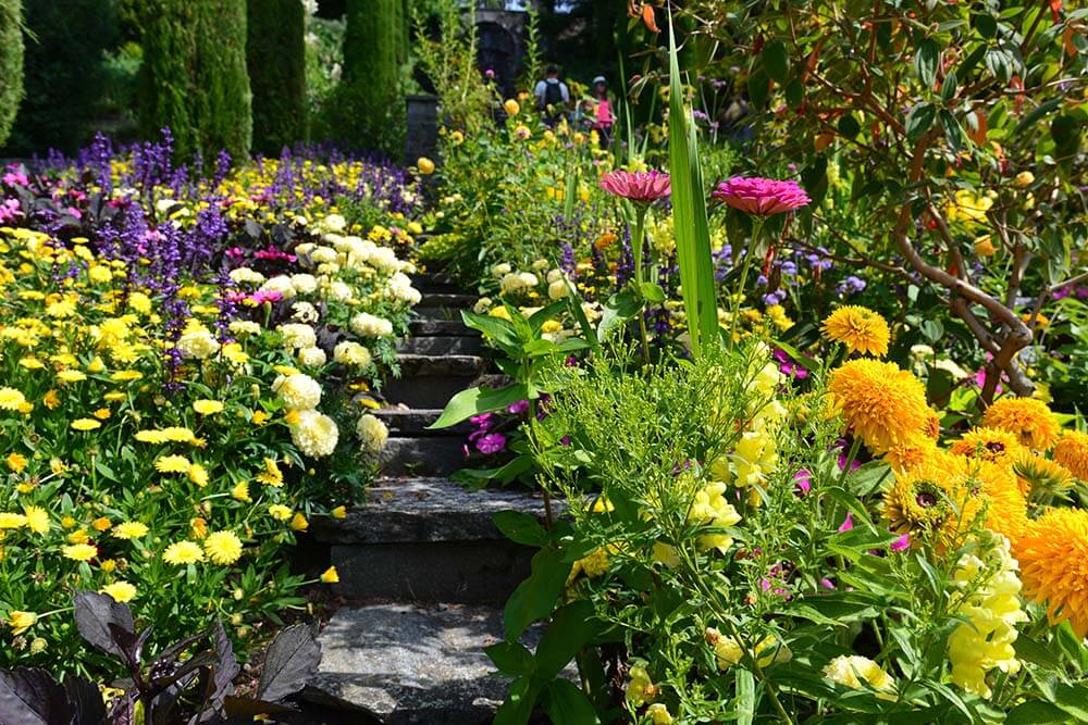 Bersselaar Groen tovert jouw tuin voor je om in een Bohemian Stijl tuin die je een permanent vakantiegevoel bezorgt! Dé tuintrend van 2023!