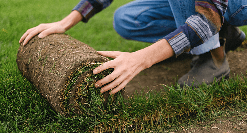 Een opgerolde graszod van natuurlijk gras