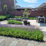 moderne tuin aangelegd door Hoveniersbedrijf Bersselaar groen