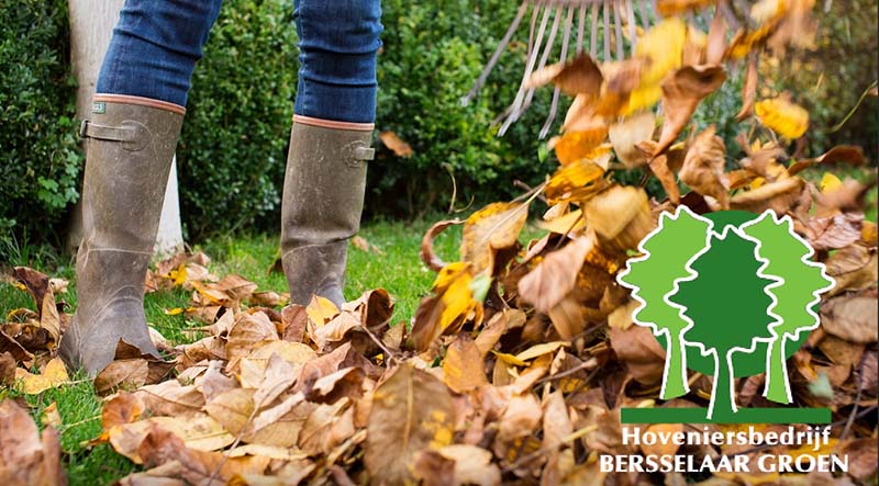 Voorjaarsplanten snoeien