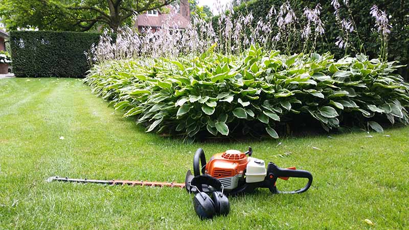 Voorjaarsplanten snoeien